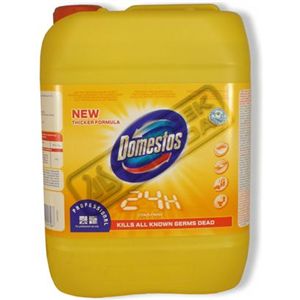 Domestos Citrus Fresh 5l
